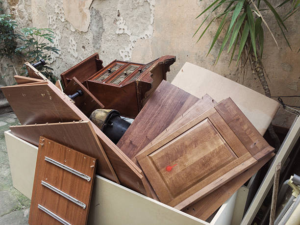 Best Electronics Removal Services  in Lake Shore, MN